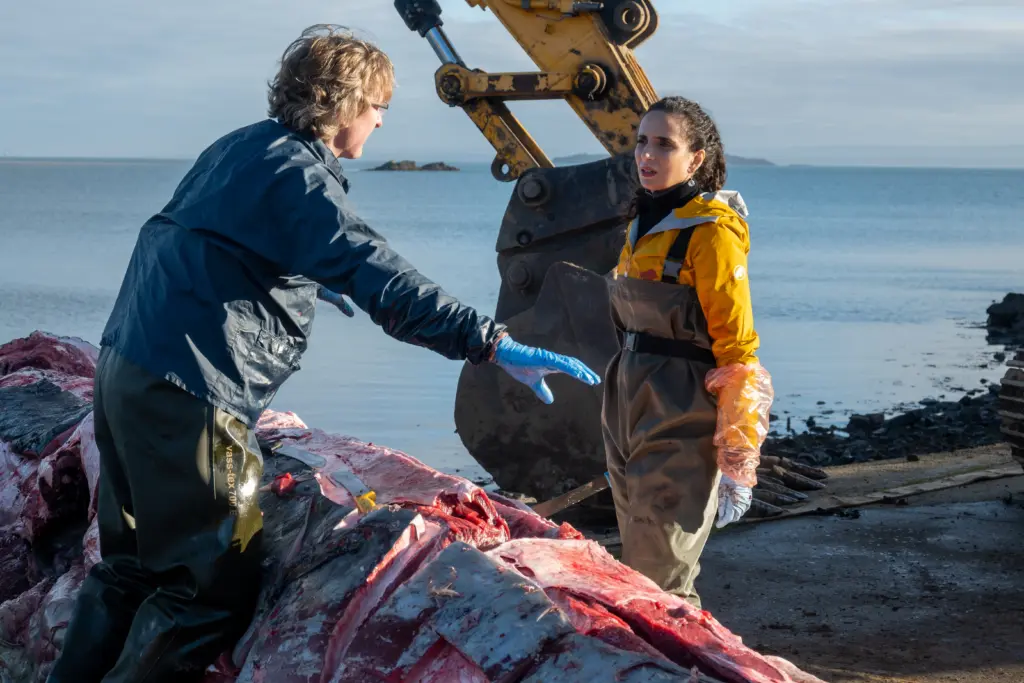 What Killed the Whale? Trailer Placeholder